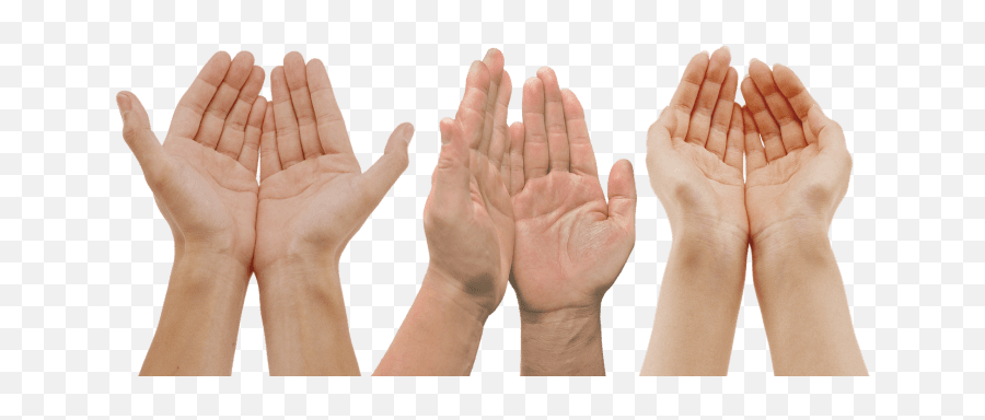 Dont Mistake - Hands Palm Png Emoji,The Emotions Hold Out Your Hand