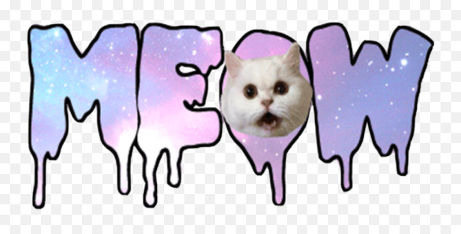 Meow Sticker - Meow Stickers Emoji,Meow Emoji