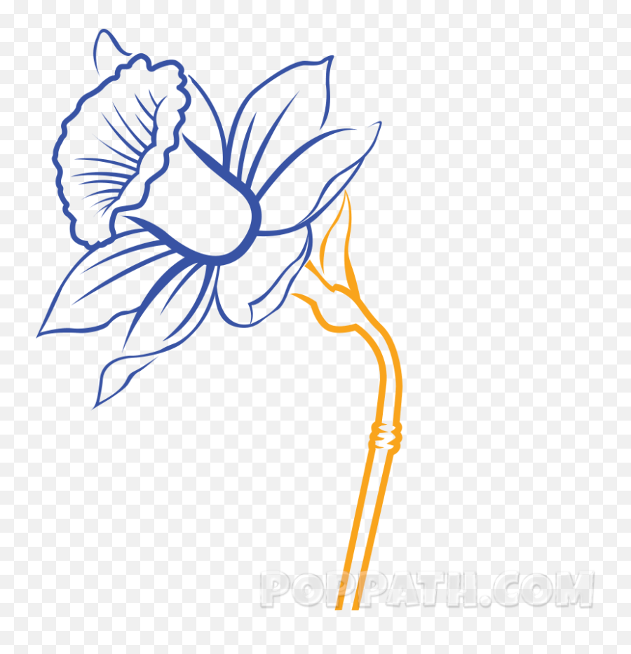Transparent Daffodils Clipart - Daffodil Drawing Png Emoji,Daffodil Emoticon Facebook