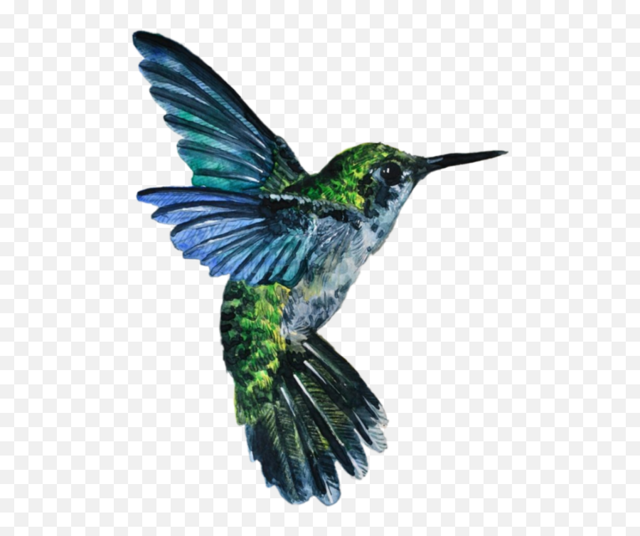Bird Hummingbird Sticker - Transparent Bird Watercolor Emoji,Hummingbird Emoji