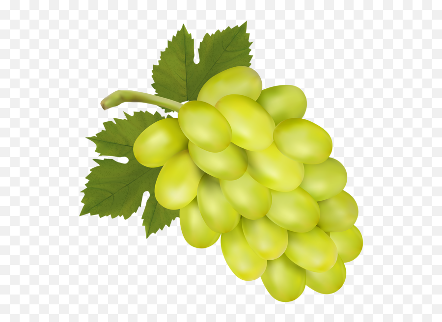 Green Grapes Clipart - White Grape Png Emoji,Green Grape Emoji