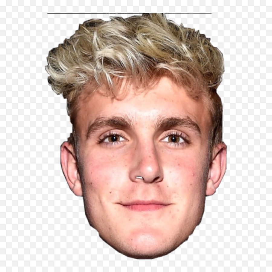 Jakepaul Jake Sticker - There Are No Accidents Kung Fu Panda Meme Emoji,Jake Paul Made Of Emojis