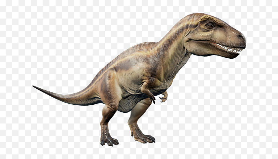 Acrocanthosaurus Dinosaur Toe Claw - Jurassic World Acrocanthosaurus Emoji,Dinosaur In Emojis Android
