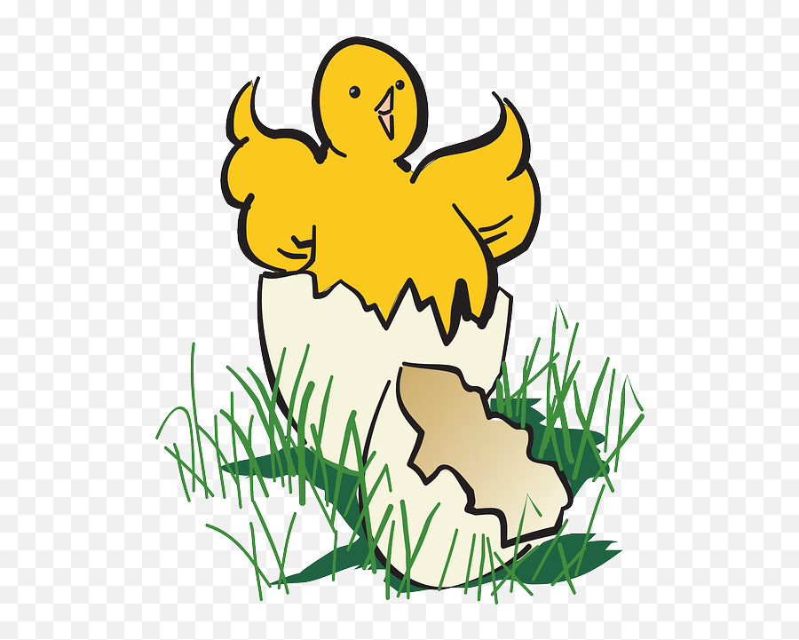 Paling Populer 15 Gambar Ayam Kartun Lucu Png - Koleksi Animasi Telur Ayam Menetas Emoji,Foghorn Leghorn Emoticon