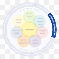 Supportive Environments - Bombshell Carbon Rims Emoji,Emotion Theory Exampes