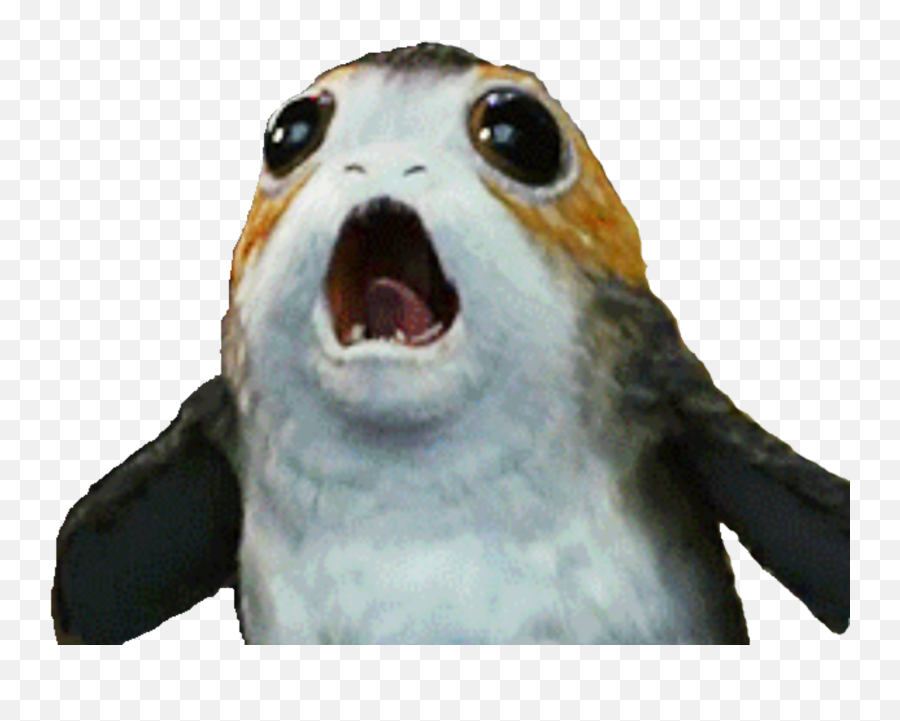 Porg Porgs Starwars Sticker - Star Wars Porg Porgs Emoji,Porg Emoji