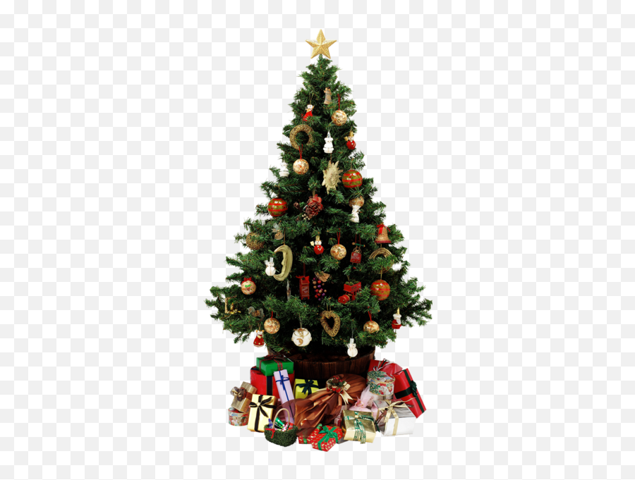 Christmas Tree - Christmas Tree Psd Emoji,What Happened To The Christmas Tree Emoji