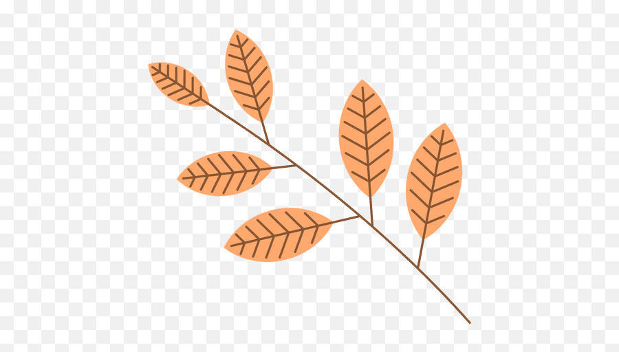 Png Y Svg De Folhas De Outono Con Fondo - Hojas De Otoño Png Emoji,Emoji De Las Ojas