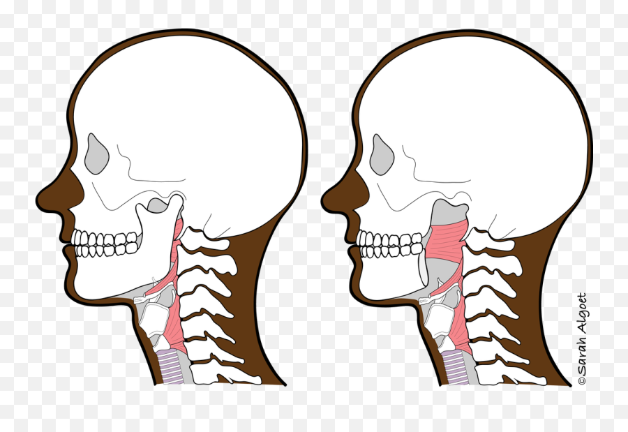 Vocal Tract - Voicescienceworks Scary Emoji,How To Move When You Sing With Emotion