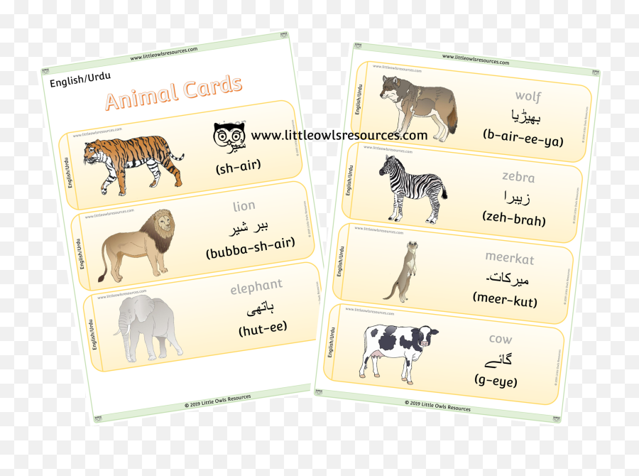Dual Language Printable - Punjabi Language Animals Name In Punjabi Emoji,Waves Of Emotion Urdu