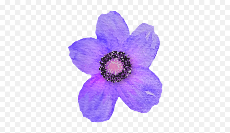 Purple Archives U2013 Mckinley Design Co Emoji,Violet Emoji Flower