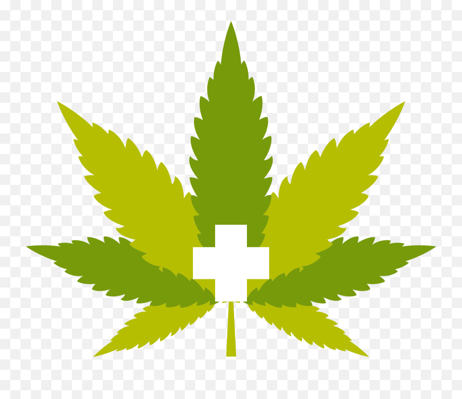 Public Relations - Transparent Medical Marijuana Logo Emoji,Pot Leaf Emoticon