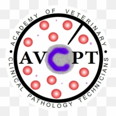Veterinary Clinical Pathology - Dot Emoji,Panorama 4e Verbs Of Emotion