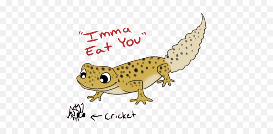 Top Lizard Reptile Stickers For Android - Animated Leopard Gecko Gif Emoji,Lizard Emoji