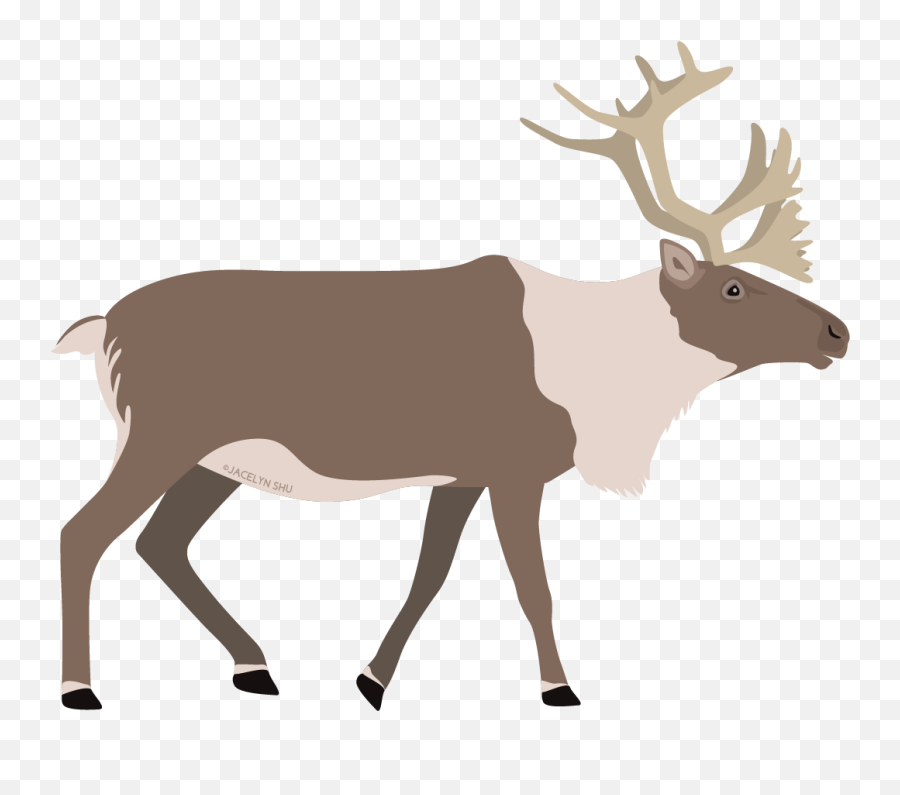 Model Organisms U2014 Jacelyn Shu Emoji,Deer Emoji