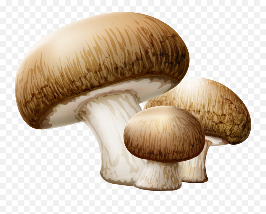 Mushroom Clipart Collection - Clipart Mushrooms Emoji,Mushroom Emoji