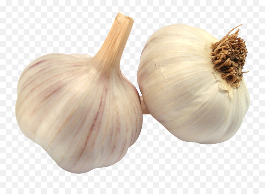 Garlic Clipart Shallot Garlic Shallot Transparent Free For - Transparent Background Garlic Png Emoji,Garlic Bread Emoji