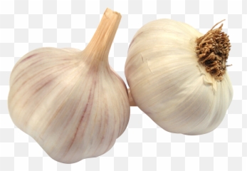Garlic Clipart Shallot Garlic Shallot Transparent Free For - Transparent Background Garlic Png Emoji,Garlic Bread Emoji