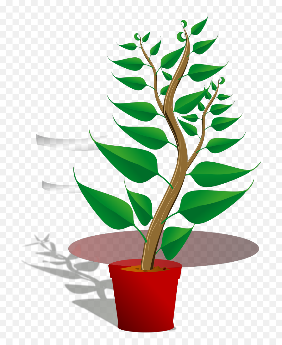 Tall Plant In Pot Png Svg Clip Art For - Quiz On Photosynthesis Emoji,Flower Pot Emoji