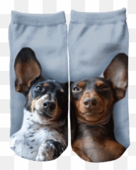 Tribesocks - Vulnerable Native Breeds Emoji,Hogwash Emoji