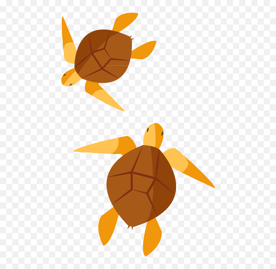 Turtle Clip Art - Cartoon Painted Turtles Emoji,Turtle Emoticon On Facebook