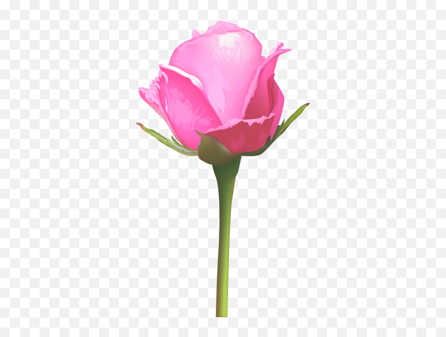 Single Pink Rose Png Clip Art Image Pink Rose Png Flower - Single Pink Rose Flowers Emoji,Reiner Emoticon