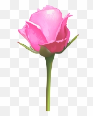 Single Pink Rose Png Clip Art Image Pink Rose Png Flower - Single Pink Rose Flowers Emoji,Reiner Emoticon