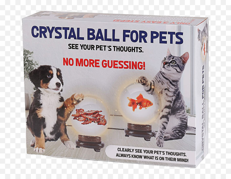 The Magic Crystal Ball For Pets - Cat Treat Emoji,Giggle Cat Emoticon