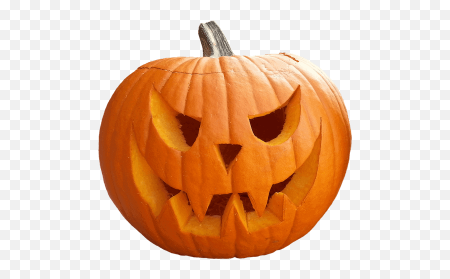 Jack Olanterns And Halloween - Real Halloween Pumpkin Png Emoji,When Fury Squashes All Emotions Image
