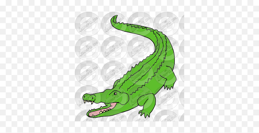 Alligator Picture For Classroom - Animal Figure Emoji,Facebook Emoticons Alligator