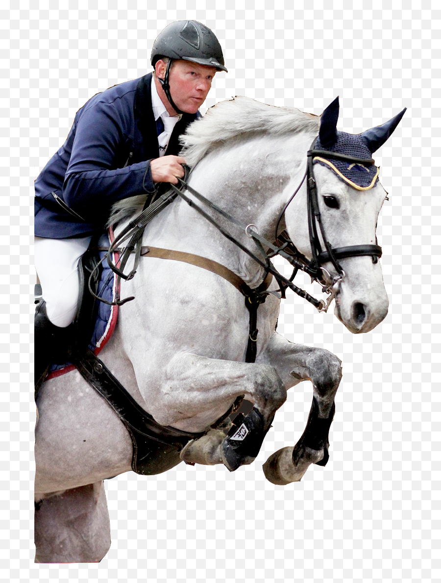 Png Images Png Show Jumping Horse Equestrian Dressage - Jumping Hanoverian Horse Emoji,Emotion Horse Rider Metaphor