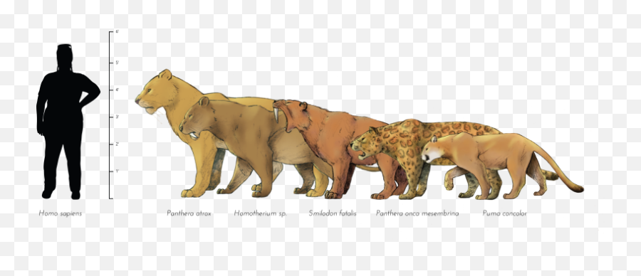 Pebbles The Ice Age Puma La Brea Tar Pits - Animal Figure Emoji,Facebook Sabertooth Tiger Emojis