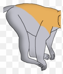 Proboscis Monkey - Sketch Emoji,Bared Teeth Chimpanzee Emotion