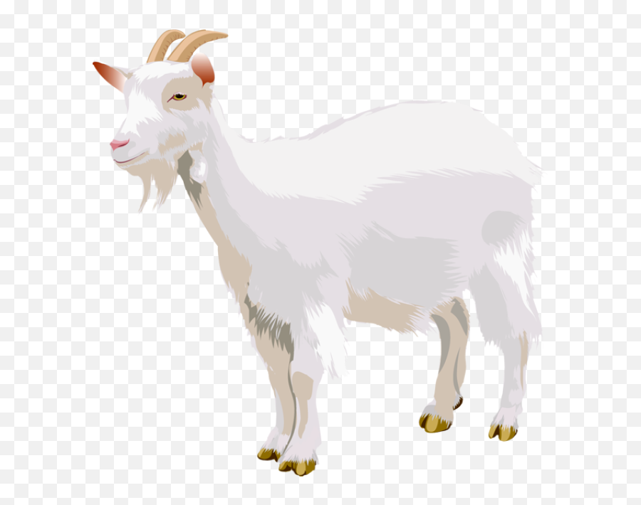 Goat Png Hd Photos - High Quality Image For Free Here Emoji,Gaot Emoji