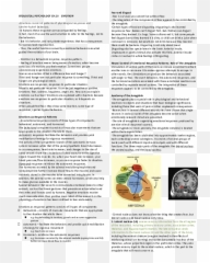 Biological Psychology - Vertical Emoji,Survival Emotions