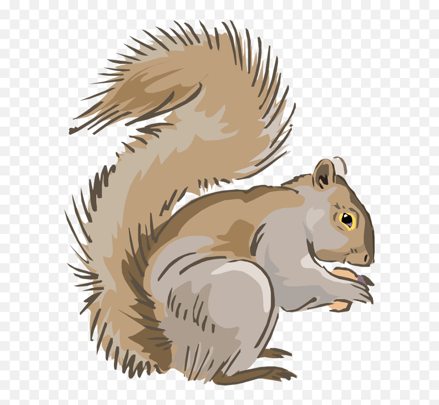 Indian Clipart Squirrel Indian Squirrel Transparent Free - Clipart Squirrel Emoji,Red Squirrel Emoji