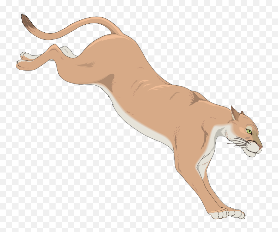 Mountain Lion 99083 Free Svg Download 4 Vector - Cartoon Mountain Lion Png Emoji,Cougar Emoticon