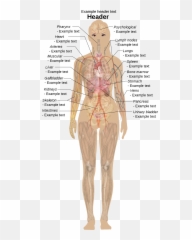 Diagram - Body Diagram Emoji,Tiida 2010 Emotion