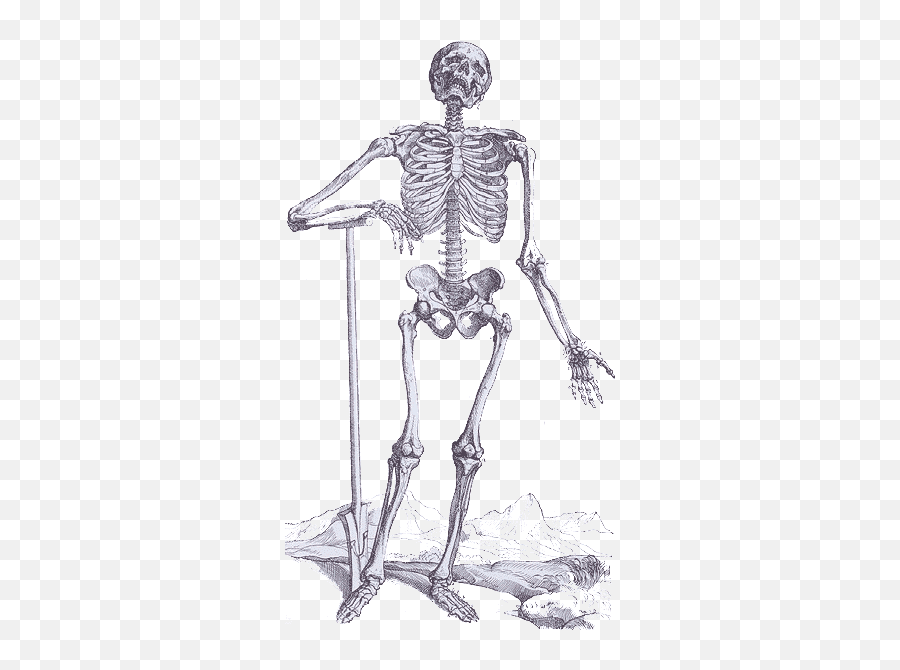 Trauma And Fractures Menu Wheelessu0027 Textbook Of Orthopaedics - Skeleton With Shovel Emoji,Emotion And Intertrochanteric Fracture