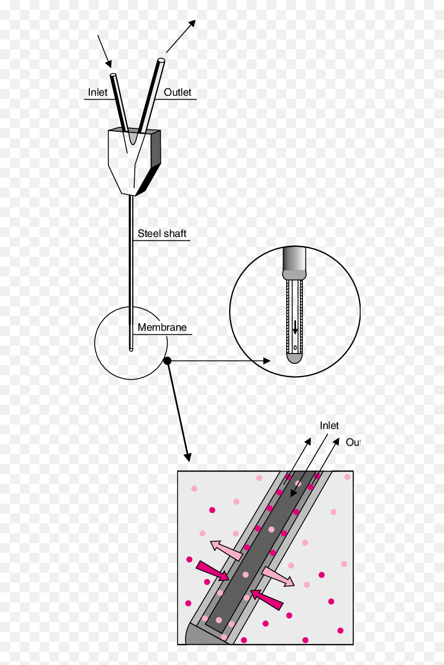 Schematic Representation Of The Microdialysis Probe A - Brain Microdialysis Emoji,Astrid S - Emotion