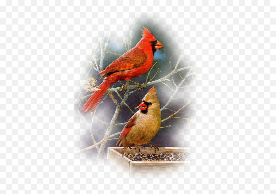 Animals Bird Cardinals Sticker - Twig Emoji,Cardinals Emoji