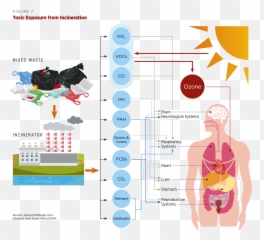The Hidden Costs Of A Plastic Planet - For Adult Emoji,Emoticons Plain Text 0=um0<