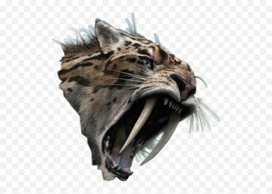 Smilodon Primeval Sticker By Klover - Sabertooth Cat Roar On Youtube Emoji,Facebook Sabertooth Tiger Emojis