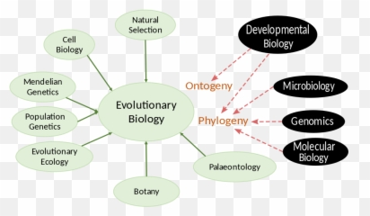 Modern Synthesis - Modern Synthesis Emoji,Darwin's Theory Of Emotion