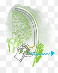 Science Of Feeling Safe - Sketch Emoji,Science On Tap Science Of Emotions