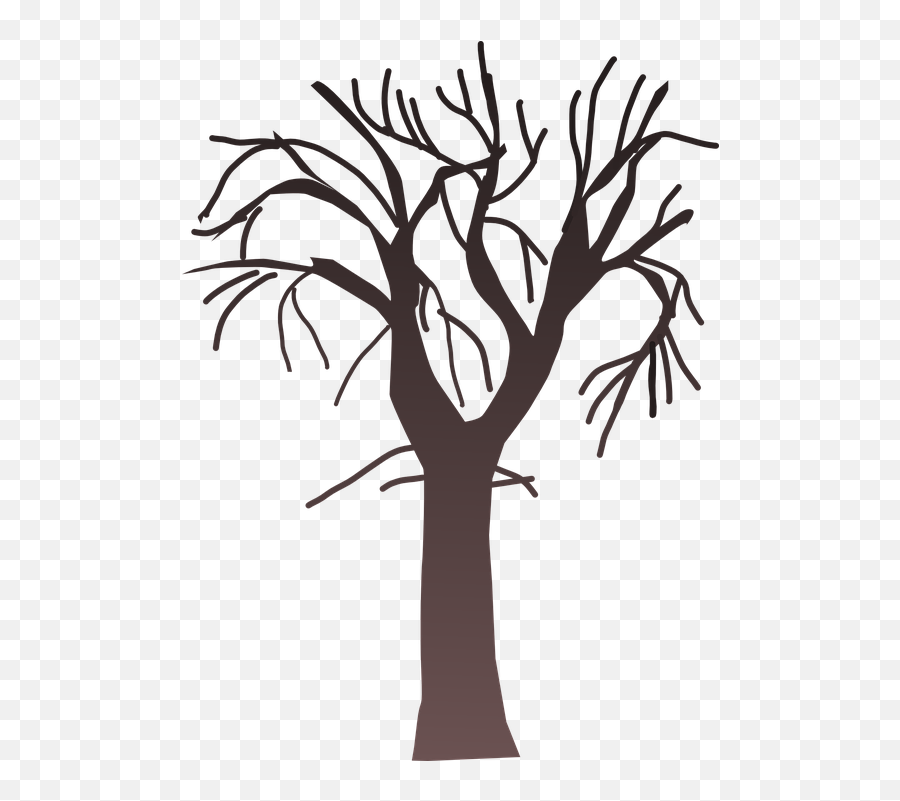 Tree Bare Branches - Free Vector Graphic On Pixabay 223987 Cartoon Bare Trees Png Emoji,Emotion Art Trees
