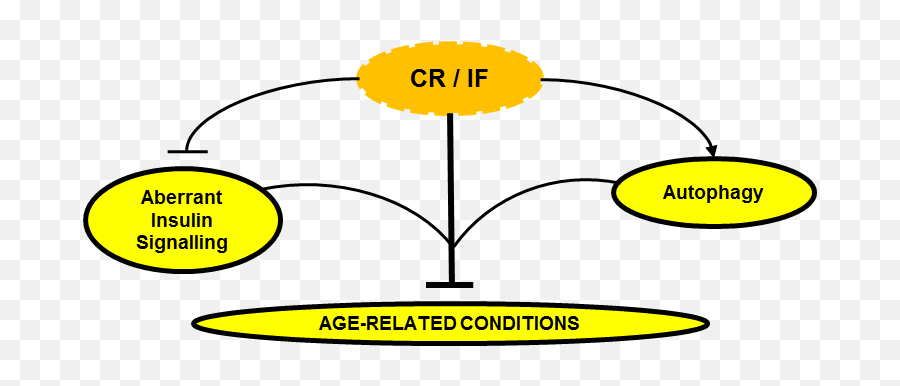 Longevity U2013 The Strength Clinic Emoji,Schmitz: Body, Space, And Emotions, 1998.