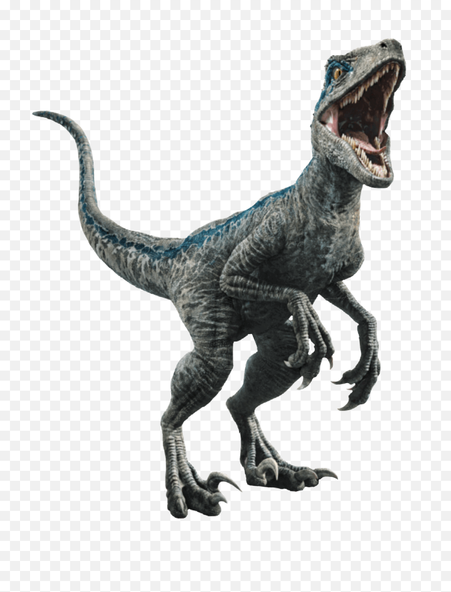 The Most Edited Raptor Picsart - Blue Jurassic World Emoji,Dinosaur Head Emoji