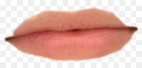 The Most Edited Thebeemovie Picsart Emoji,Mollymolly Emoticon