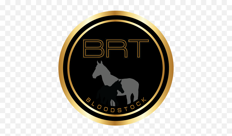 Racehorses Brt Bloodstock Emoji,Facebook Racehorse Emoticon